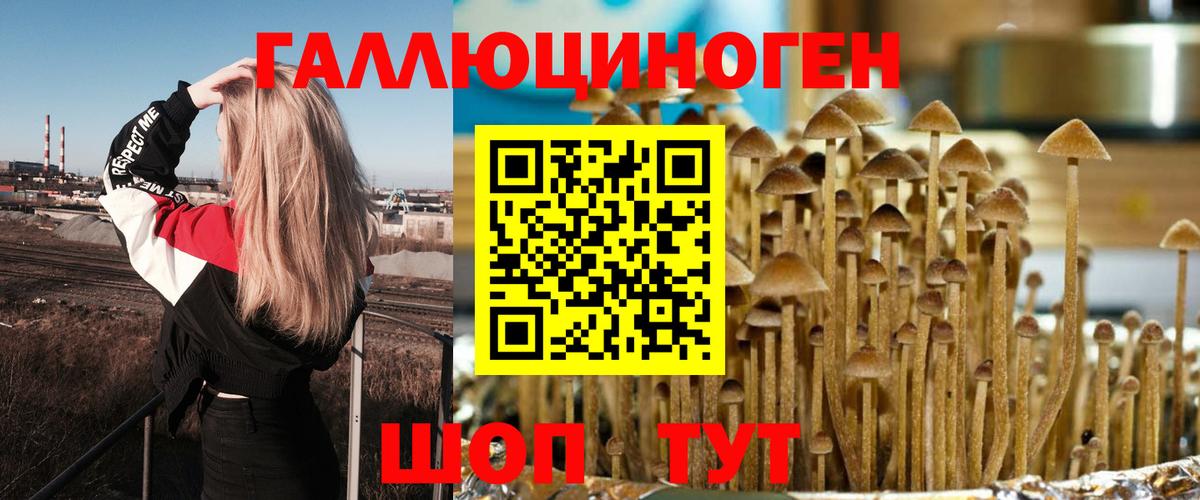 Галлюциногенные грибы мухоморы Стрежевой