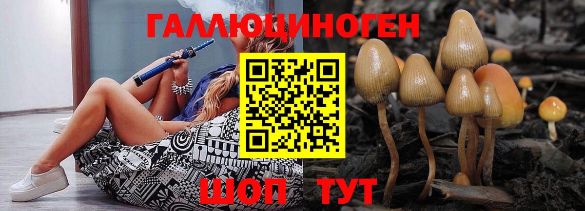 Стрежевой  Псилоцибиновые грибы Psilocybine cubensis  цены наркотик  Галлюциногенные грибы GOLDEN TEACHER  Вход с VPN 